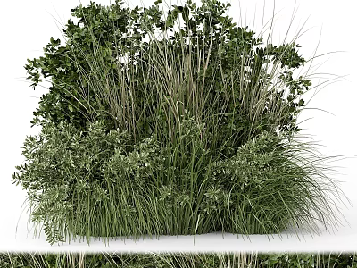 Diverse Green Plants Arrangement With Mixed Grasses And Leafy Shrubs 3d model