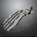 3D Rendered Human Hand Skeleton Model on Dark Background with Anatomical Details