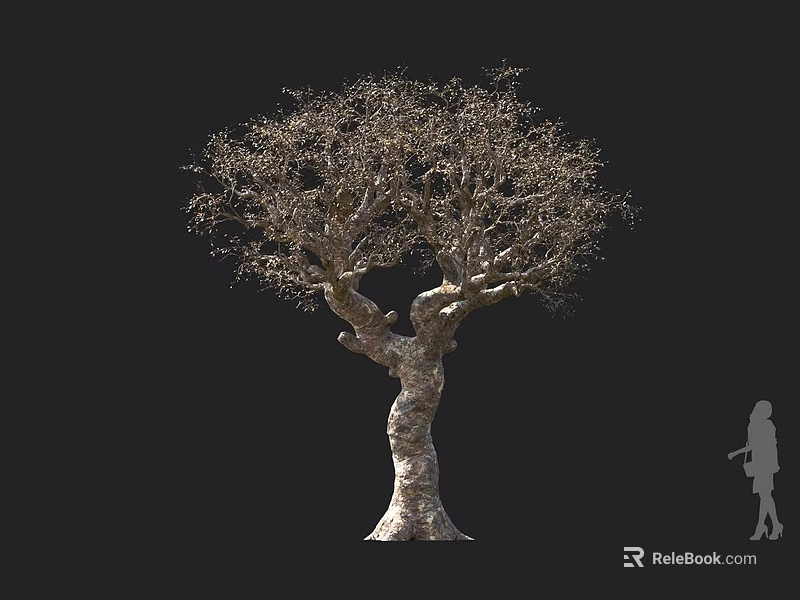 Leafless Curved Trunk Tree With Black Background And Human Silhouette To Show Size 3d model 