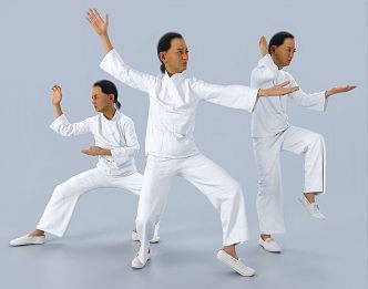 Modern people play Taijiquan for the elderly 3d model