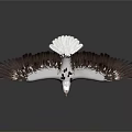 Majestic Bald Eagle Spreading Wings Standing On Dark Background With Reflection 3d model