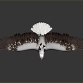 Modern Eagle Golden Eagle 3d model