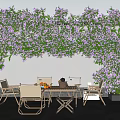 Lush Purple Flower Vines Hanging Outdoor Plant Combination With Wooden Table Chairs And Fruits
