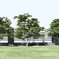 Modern Tree Landscape Tree 3d model