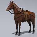 Brown Horse Standing With Saddle Bridle And Leather Riding Gear
