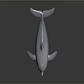 White Dolphin 3D Rendering With Sleek Body And Dark Background Reflection 3d model