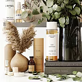 Daily Skincare And Bath Essentials On Organized Shelf With Eucalyptus Plant And Pampas Grass
