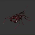 Modern Scorpion Beetle Vinegar Scorpion 3d model