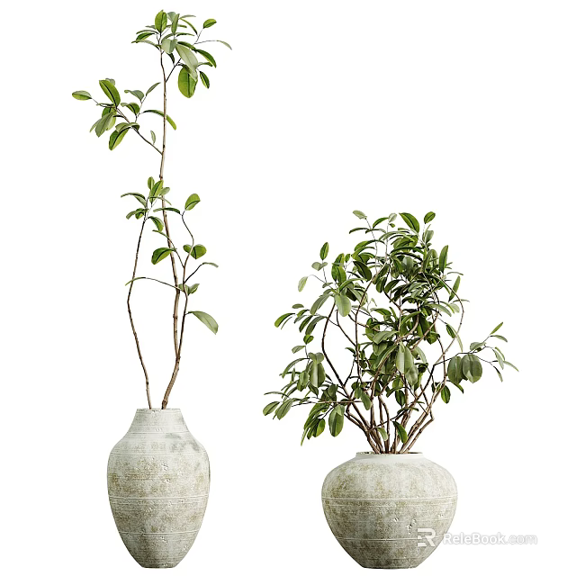 Two Textured Ceramic Vases With Lush Green Leafy Plants Home Decor 3d model