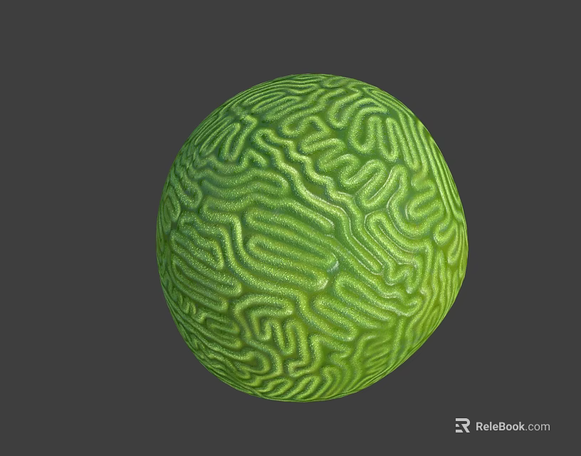 Green Sea Urchin Marine Animal Featuring Spherical Body And Intricate Surface Patterns 3d model 