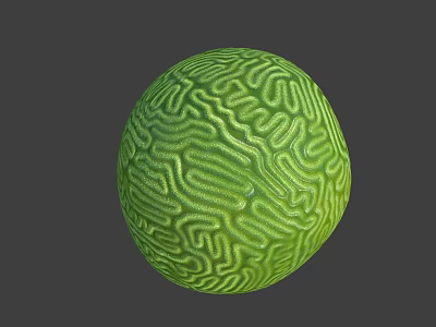 Green Sea Urchin Marine Animal Featuring Spherical Body And Intricate Surface Patterns 3d model