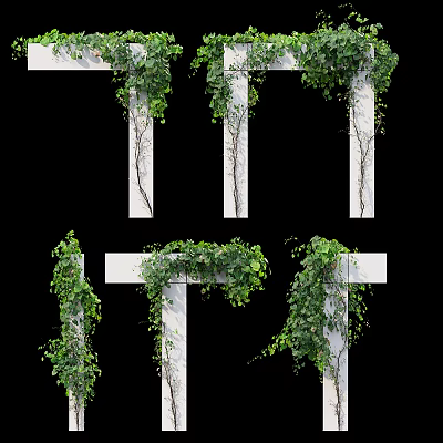 Decorative Green Climbing Bushes Covering White Pillars With Lush Foliage 3d model