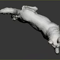 White Dog Standing on Black Background with Detailed Texture and Lifelike Posture