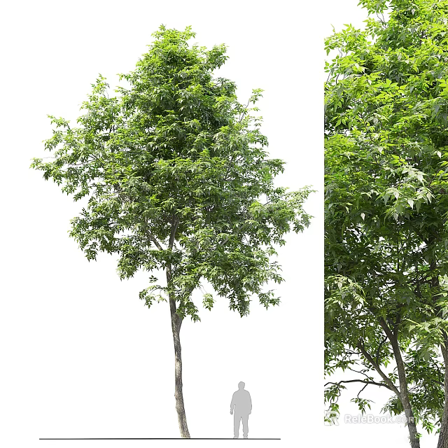 Lush Green Arbor With Dense Foliage And Strong Trunk In Natural Environment 3d model 