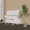 Piano Green Plant Bonsai 3d model