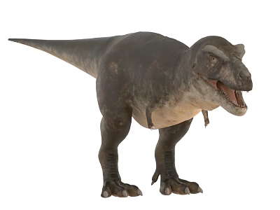 Realistic Tyrannosaurus Rex Dinosaur 3D Model With Open Mouth And Textured Skin 3d model