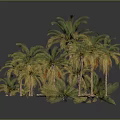 Multiple Palm Trees in Various Sizes with Green Fronds on Gray Background
