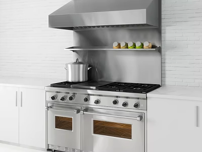 Modern Kitchen Appliances With Stainless Steel Range Hood And Double Oven Gas Range 3d model