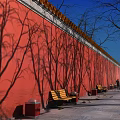 Urban Road Facilities Along Sidewalk With Red Wall Trees Benches And White Guardrails