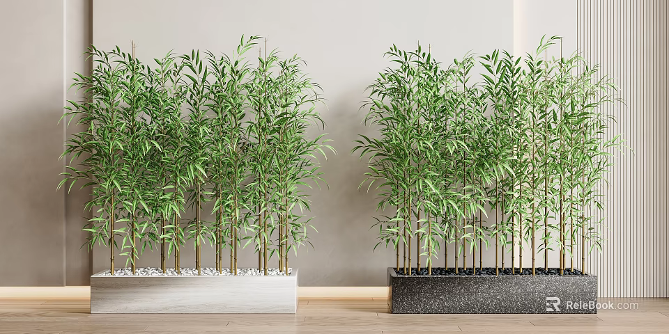 Lush Green Bamboo Plants Growing in Decorative Planters for Indoor Decor 3d model 