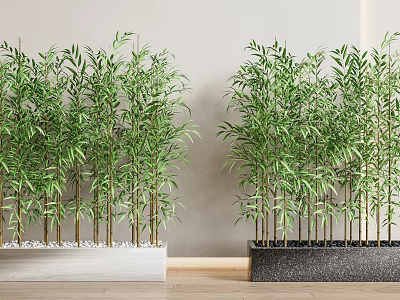 Lush Green Bamboo Plants Growing in Decorative Planters for Indoor Decor 3d model