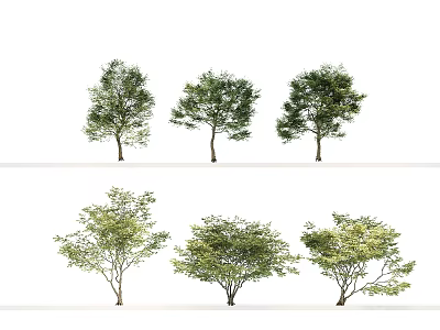 modern tree dry branch plant green plant 3d model