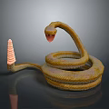 snake cobra venomous snake python reptile cold-blooded animal reptile 3d model