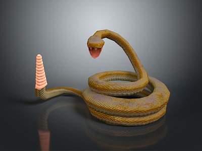 snake cobra venomous snake python reptile cold-blooded animal reptile 3d model