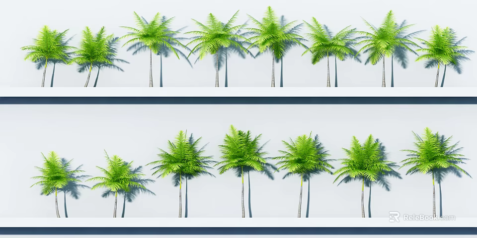 Green Palm Trees Arranged in Rows With White Background and Shadows 3d model