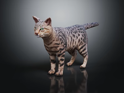 Bengal Cat With Striped Fur And Green Eyes Standing On Dark Background With Reflection 3d model