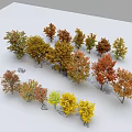 Colorful Model Trees With Green Yellow Orange Red Leaves Arranged On White Background