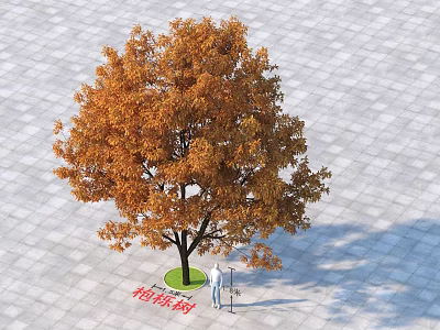 Tree With Orange Leaves And People Standing Under Gray Square Pavement Tiles 3d model