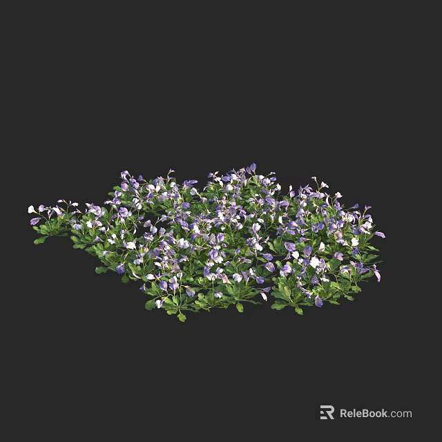 Vibrant Purple and White Flowers with Green Leaves in Garden Plant Cluster 3d model 