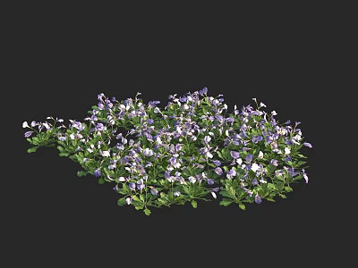 Vibrant Purple and White Flowers with Green Leaves in Garden Plant Cluster 3d model