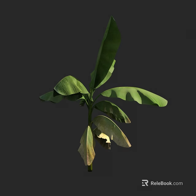 Lush Arbor With Broad Green Leaves And Straight Trunk In Natural Environment 3d model 