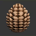 Copper Colored Pinecone A Natural Botanical Element With Intricate Texture On Dark Background