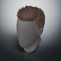 Realistic Human Head Mannequin With Brown Short Textured Hair Style Example