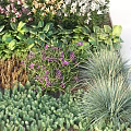 Diverse Flower Garden With Colorful Blooms Green Foliage And Various Plant Species Mix
