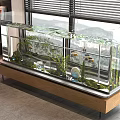 Lush Aquatic Glass Fish Tank With Green Plants Colorful Tropical Fish And Decorative Ornaments