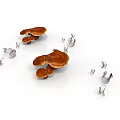 Brown Ganoderma Mushroom Clusters With Transparent Small Crystals On White Background 3d model
