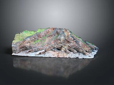 Natural Rock Landscape With Green Moss And Textured Surface Reflected On Shiny Bottom 3d model
