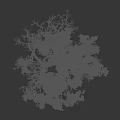 Lush Arbor Tree With Green Leaves Strong Trunk And Branch Structure Against Dark Background