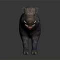 Wild Boar Sculpture With Rough Texture Open Mouth And Visible Teeth