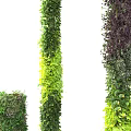 Vertical Green Wall Design With Lush Foliage And Various Plant Species