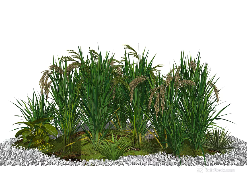 Decorative Green Herb Garden with Tall Grass Plants and White Pebbles 3d model 