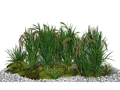 Decorative Green Herb Garden with Tall Grass Plants and White Pebbles 3d model