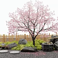 Tranquil Garden Decor With Pink Flowering Tree Wooden Fence Stones Moss And Stone Lantern