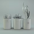 Bonsai Potted Plants with Cactus Succulent and Agave in Cylindrical Gray Concrete Pots