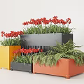 Colorful Potted Plants in Yellow Black and Orange Planters with Red Flowers and Ferns