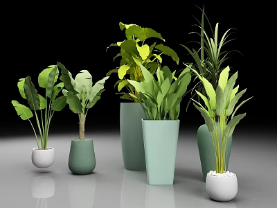Indoor Potted Plants With Various Green Foliage In Modern Colored Planters Of Different Sizes 3d model